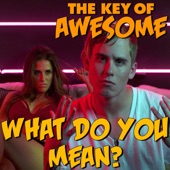 What Do you Mean? - Parody of Justin Bieber's "What Do You Mean?" artwork