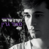 נקודה של אור - Single - Meir Green