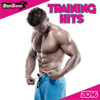 Training Hits 2016 - Various Artists