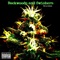 Backwoods and Swishers - La Coaches lyrics
