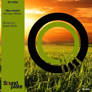 Grüne Wiese - Single