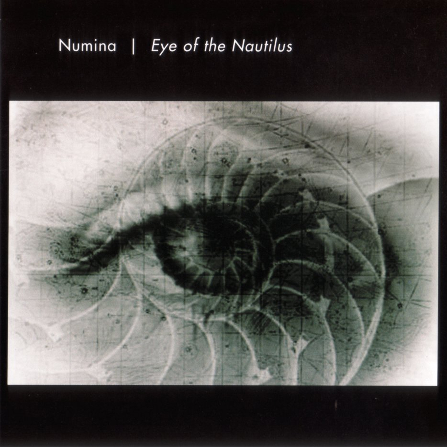 Eye of the Nautilus