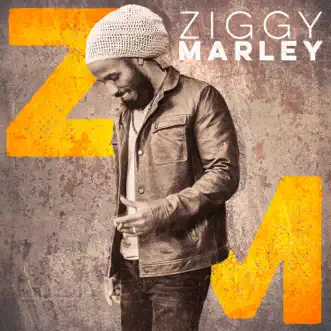 Marijauanamen by Ziggy Marley song reviws