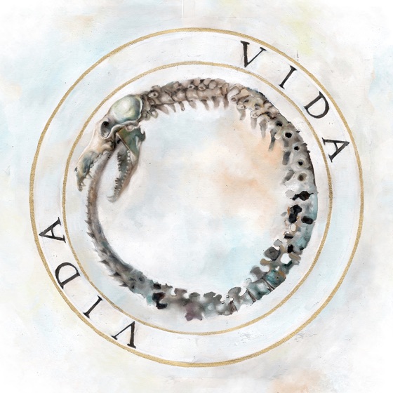 Cover artwork for Vida