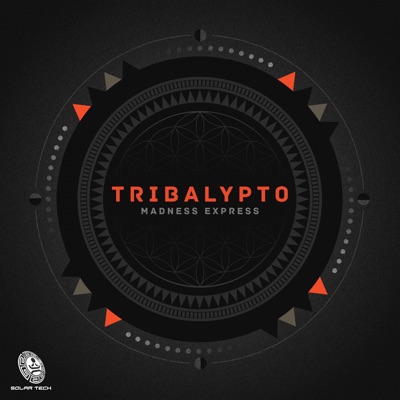 Tribalypto - Single
