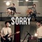 Sorry (feat. James Marshall & Max Wrye) - Luke Conard lyrics