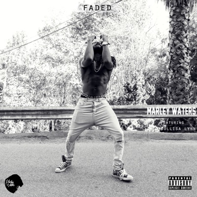 Faded (feat. Jillisa Lynn) - Single