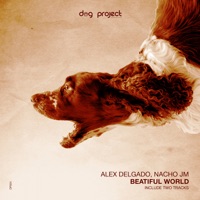 Beautiful World - Single - Alex Delgado & Nacho JM