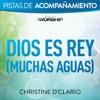 Dios es Rey (Muchas aguas) [Audio Performance Trax]