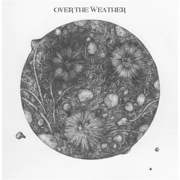 Over the Weather album cover