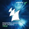 True feat. Posso (Extended Mix)