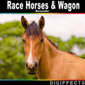 Race Horses & Wagon Sounds - Digiffects Sound Effects Library