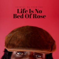 Life Is No Bed of Rose - Single - Promise No Promises