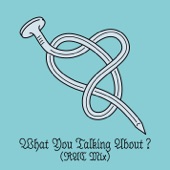 Peter Bjorn and John - What You Talking About?