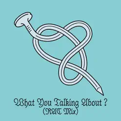 What You Talking About? (RAC Remix) - Single - Peter Bjorn and John