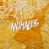 Animales artwork