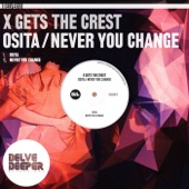 Never You Change artwork