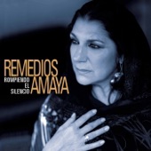 Remedios Amaya - Las ciudades