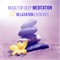 Oasis of Spa Relaxation - Relaxing Music Pro Effects Unlimited lyrics