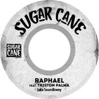 Joker Soundbwoy (feat. Triston Palma) - Single - Raphael