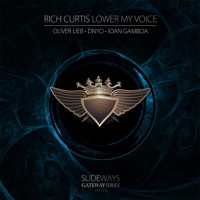 Lower My Voice Part 2 - Single - Rich Curtis