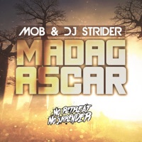 Madagascar - Single - Mob & DJ Strider