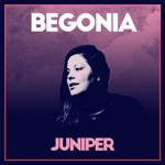 Begonia - Juniper
