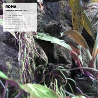Transexual Amazone / Fall - EP - Roma