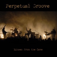 Echoes from the Cave - Perpetual Groove