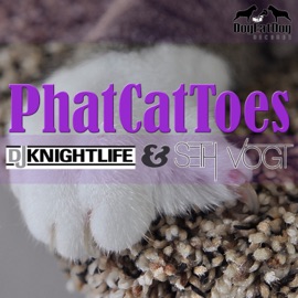 PhatCatToes DJ Knightlife & Seth Vogt