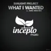 What I Wanted (Denis Neve Remix)