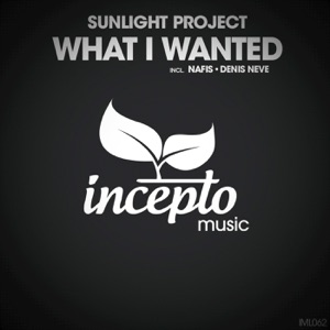 What I Wanted - EP