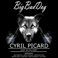 What Do You Want - Cyril Picard