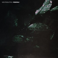 Renewal - Wes Pendleton