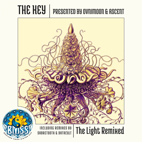 The Light Remixed - Single