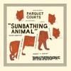 Sunbathing Animal / Content Nausea artwork