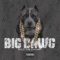 Big Dawg - Rico the Champ lyrics