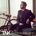 UNUTMAM SENİ