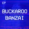 Personal Jesus - Buckaroo Banzai lyrics