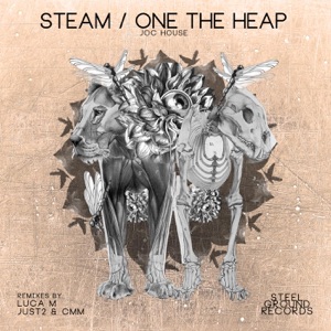 Steam/One the Heap - EP