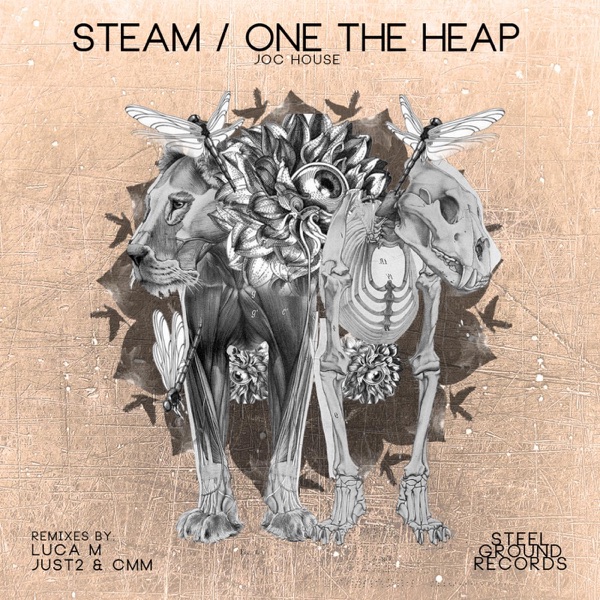 Steam/One the Heap - EP