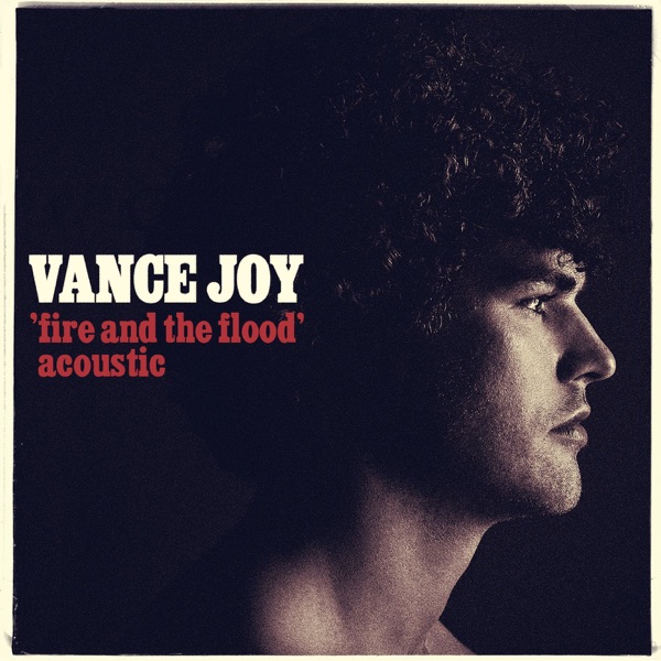 Fire and the Flood (Acoustic) - Single - Vance Joy