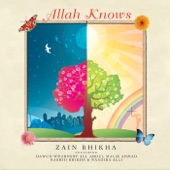 Zain Bhikha - Allah Knows (feat. Dawud Wharnsby Ali)