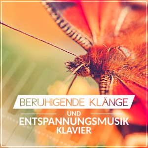 Beruhigende Klänge und Entspannungsmusik - Klavier Musik für den Tiefschlaf, Anti Stress, Therapie Seelengarten