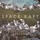 Space Raft - Borrowed Time