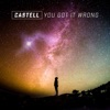 You Got It Wrong - Single