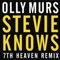 Stevie Knows (7th Heaven Remix) - Single