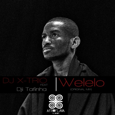Welelo (feat. Dji Tafinha) - Single