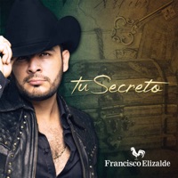 Tu Secreto - Francisco el Gallo Elizalde