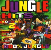 Jungle Hits, Vol. 2